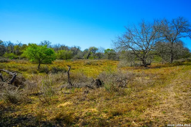 9521 Fm 1303 Floresville, TX 78114